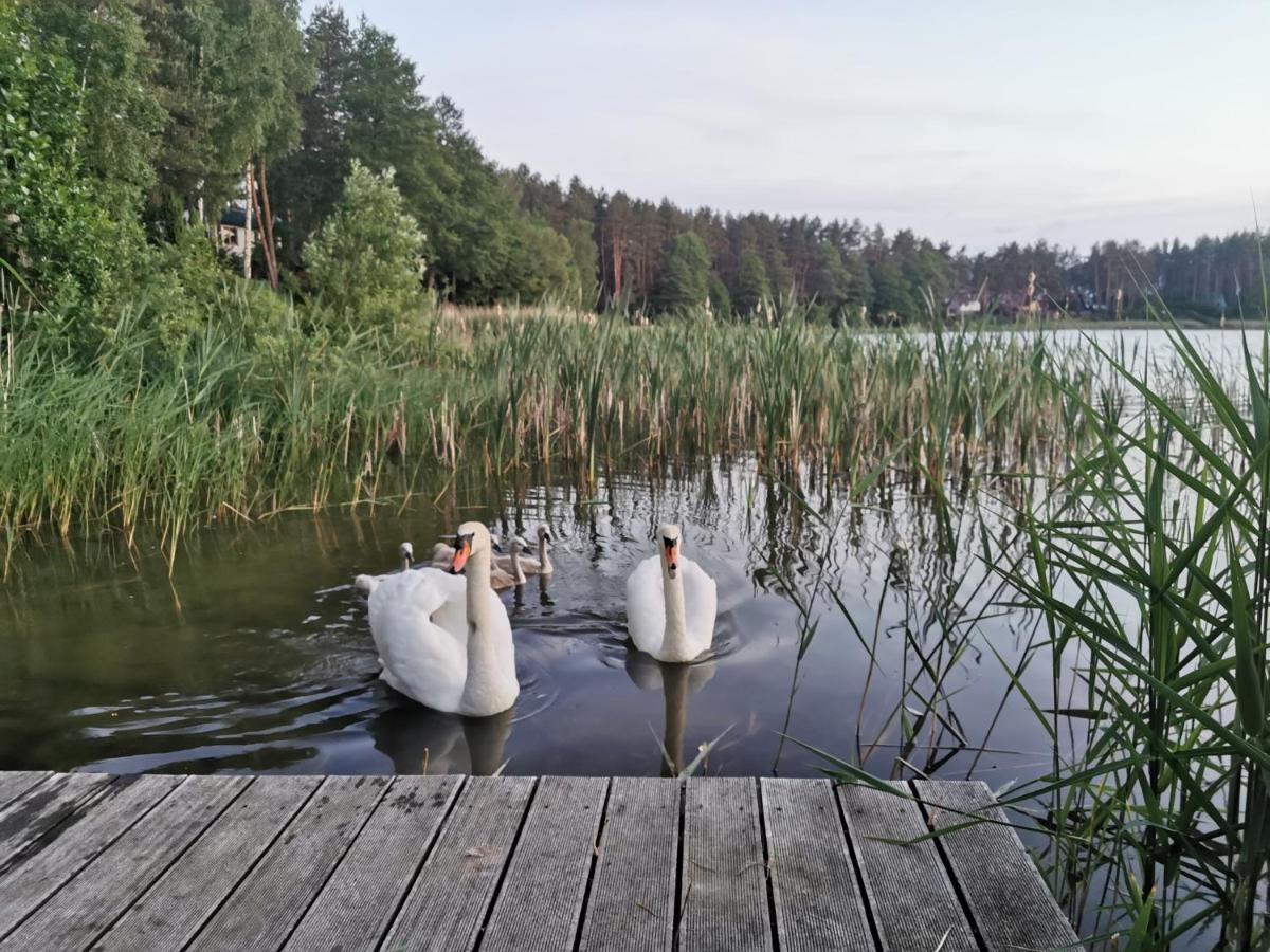 Sosnowy Azyl Villa Wąglikowice Dış mekan fotoğraf