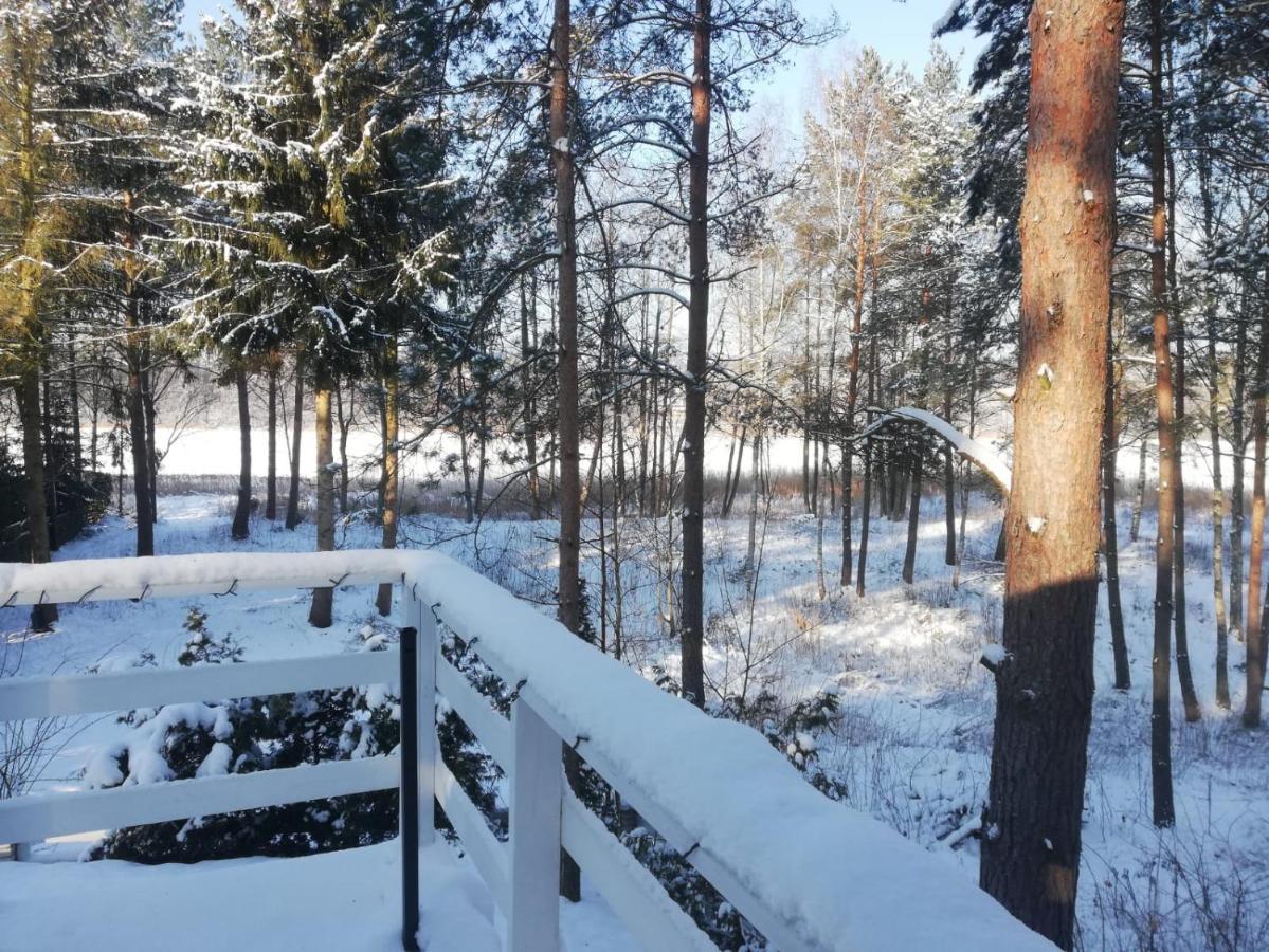 Sosnowy Azyl Villa Wąglikowice Dış mekan fotoğraf