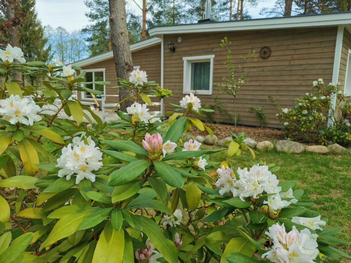 Sosnowy Azyl Villa Wąglikowice Dış mekan fotoğraf