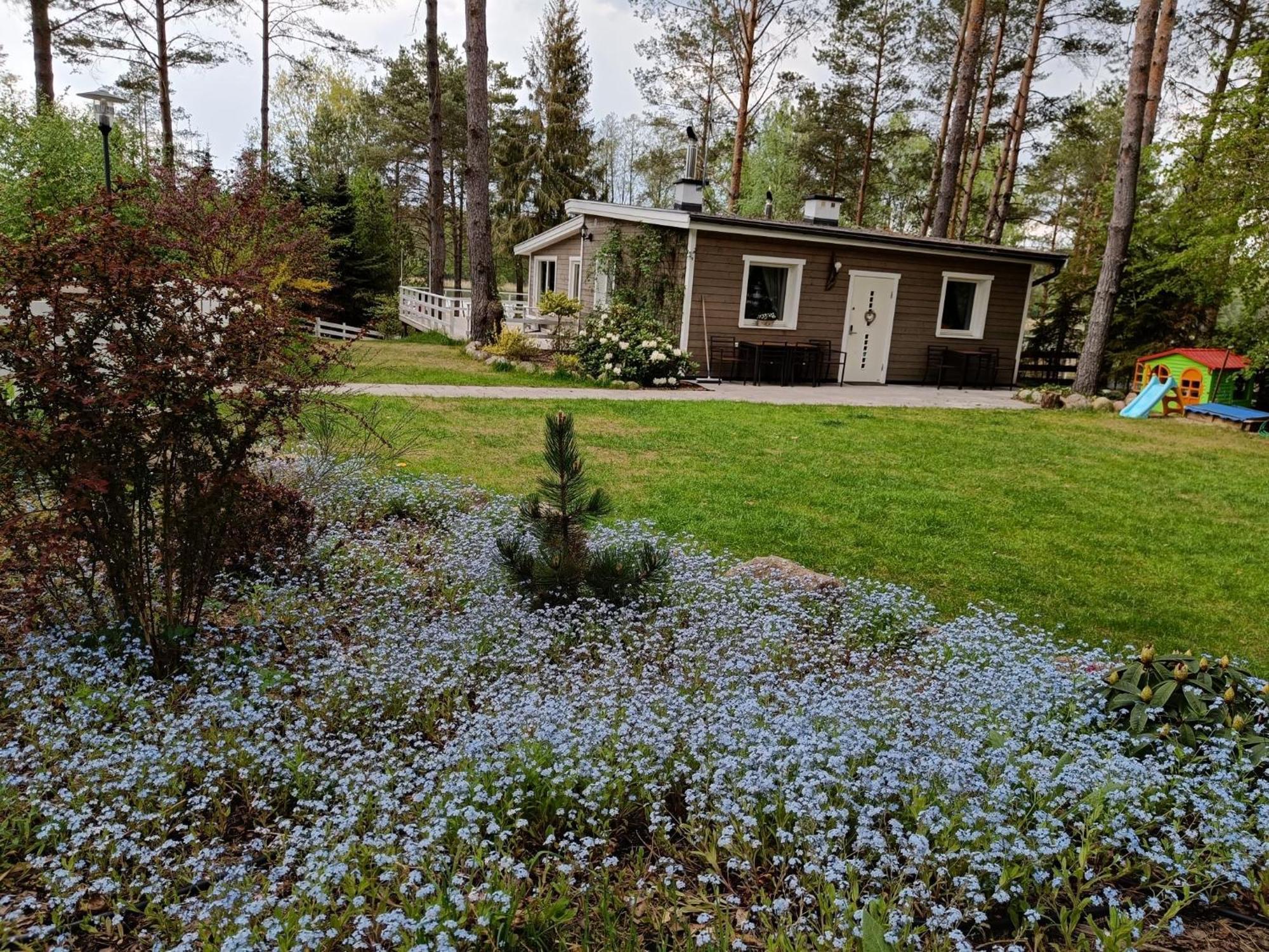 Sosnowy Azyl Villa Wąglikowice Dış mekan fotoğraf